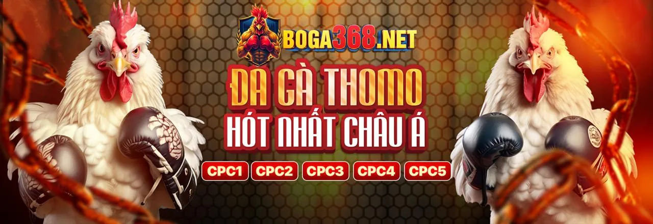 Hỗ trợ sao789 nổ hũ